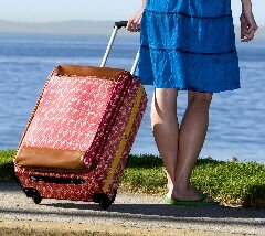 Haslsea roller bag